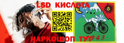 гашик Ливны