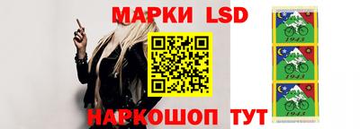 крисы Лесосибирск