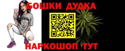 крисы Лесосибирск