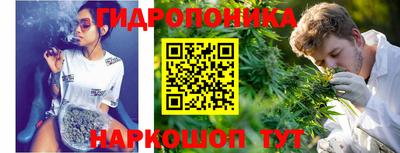 крисы Лесосибирск