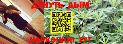 гашик Ливны