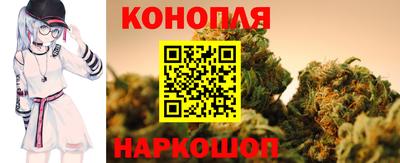 крисы Лесосибирск